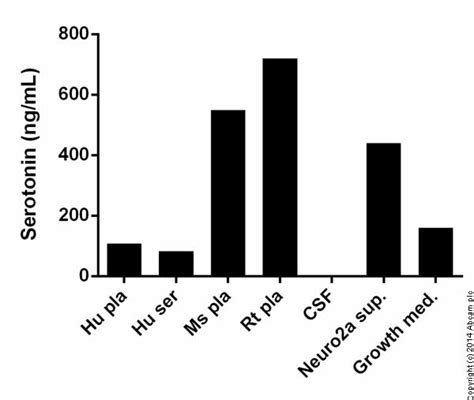 Serotonin ELISA Kit (ab133053) 